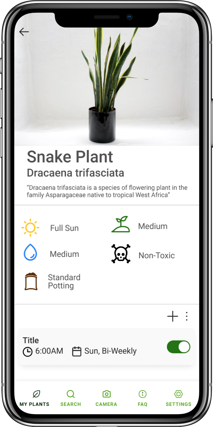 Mockup of the Photosynthetica app displayed on iPhone