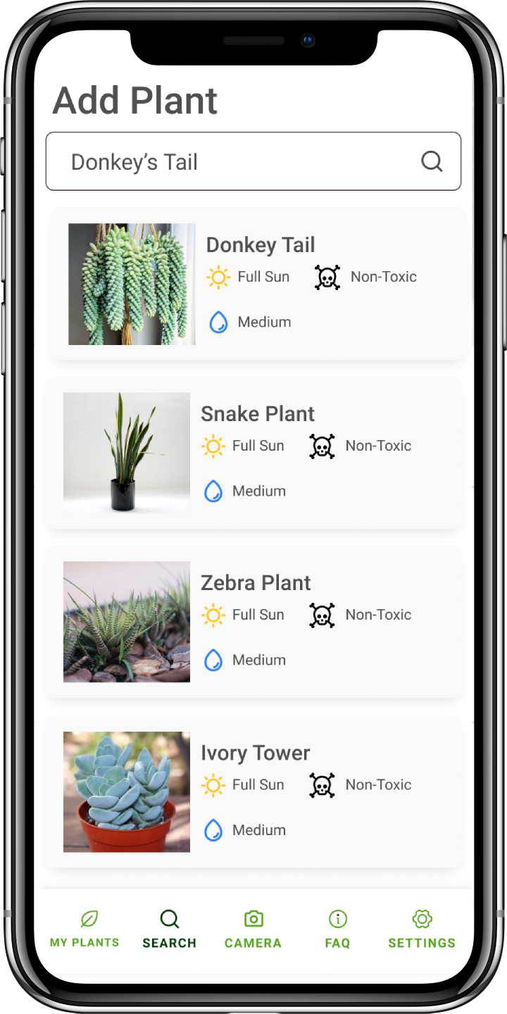 iPhone mockup of Photosynthetica displaying a search for the Donkey's Tail plant