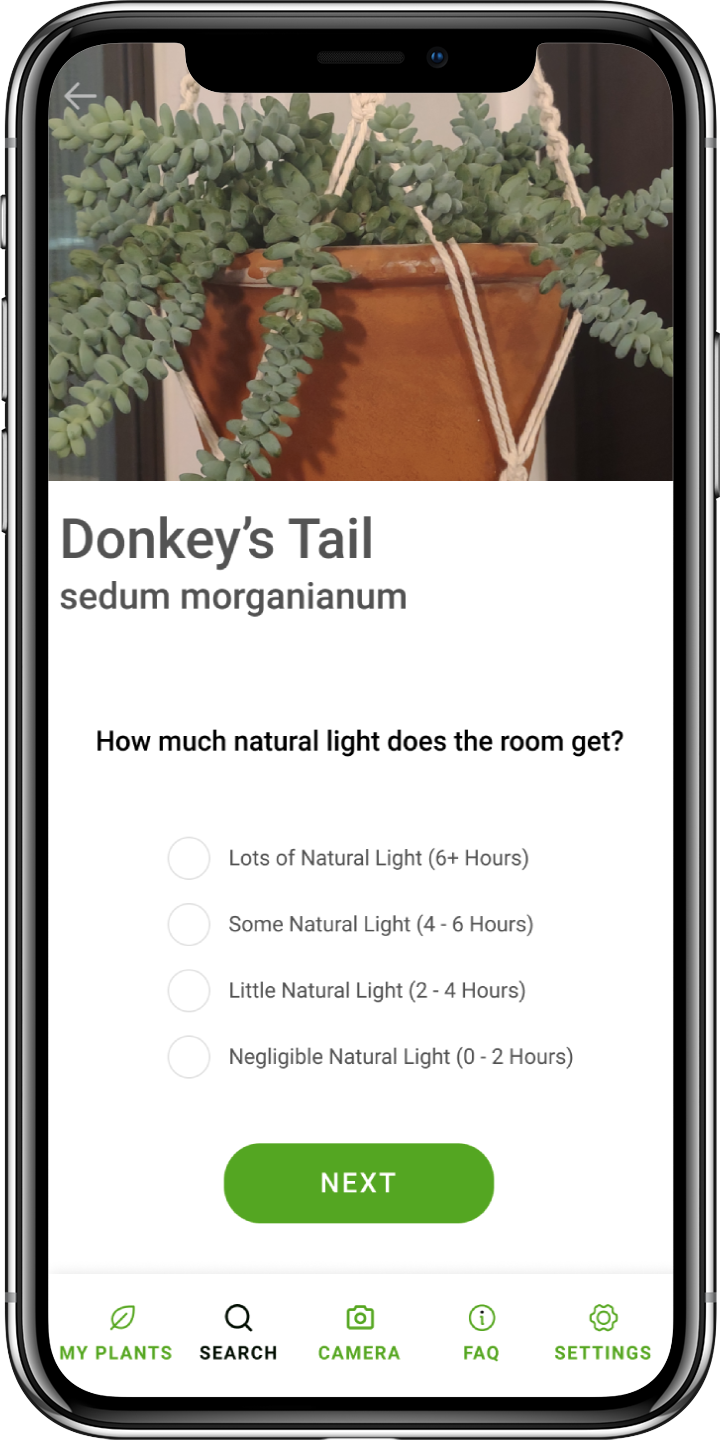 iPhone mockup of Photosynthetica displaying a question about how much natural light the user's room gets